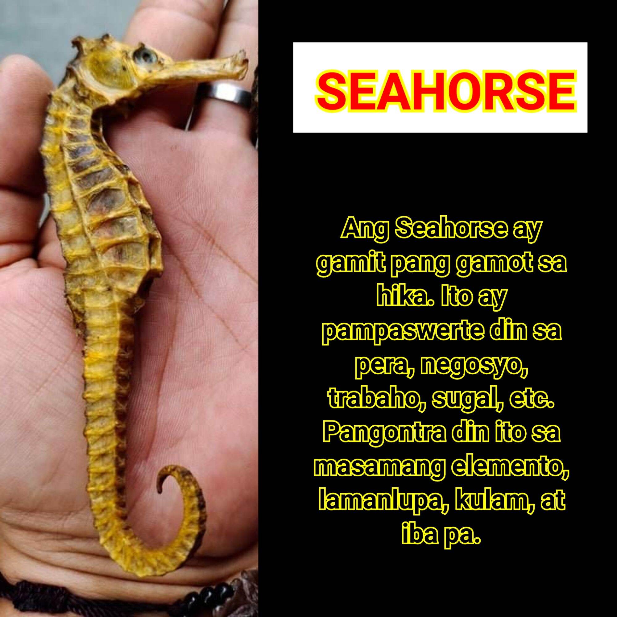 seahorse mattress lazada