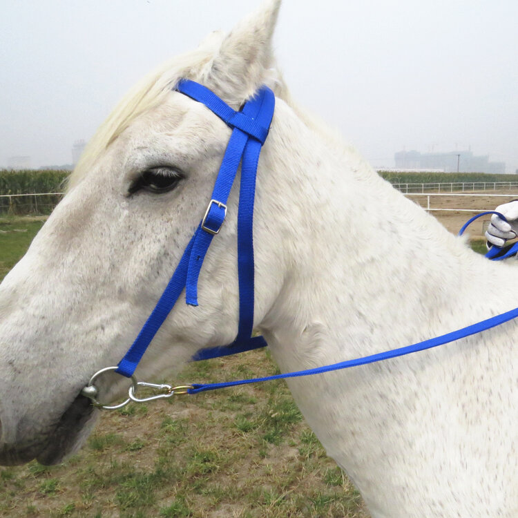 Shuile Reins Mouth Grade Horse Chews Full Set of Supplies Horse Gear