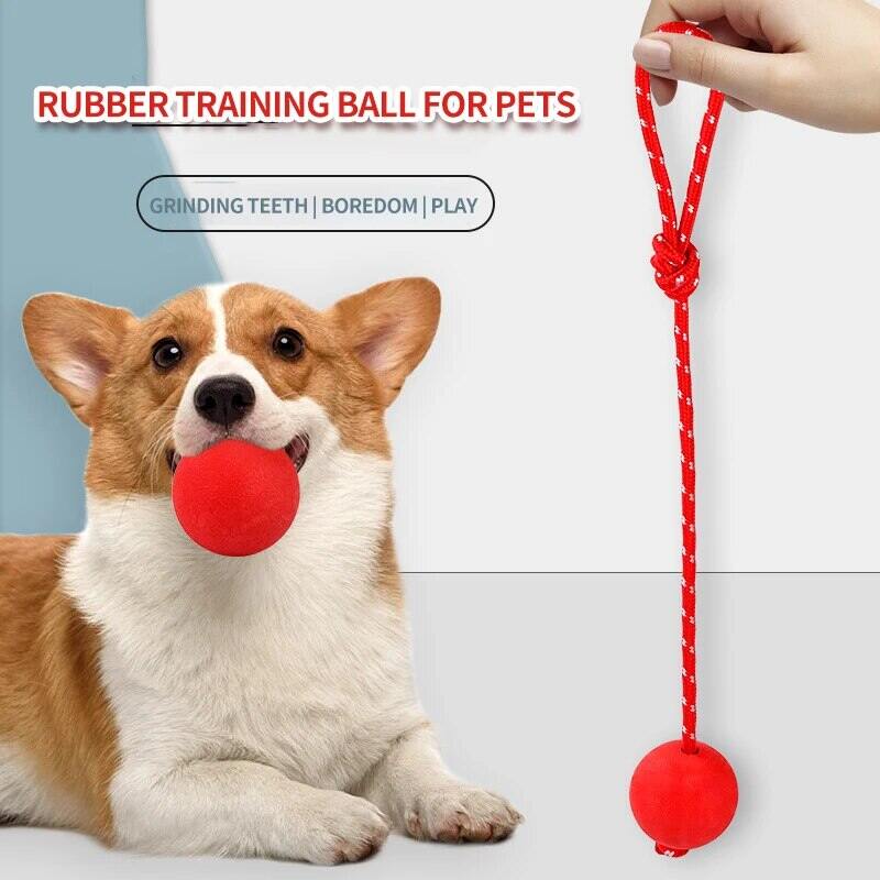 Natural Rubber Dog Toy Balls Reward Pets on Ropes for Training/playing/chewing Solid Teeth Cleaning Toys. 