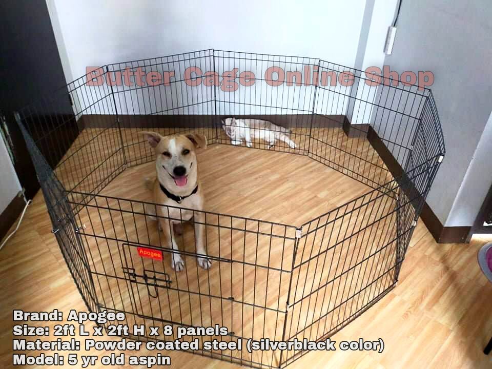 apogee dog playpen