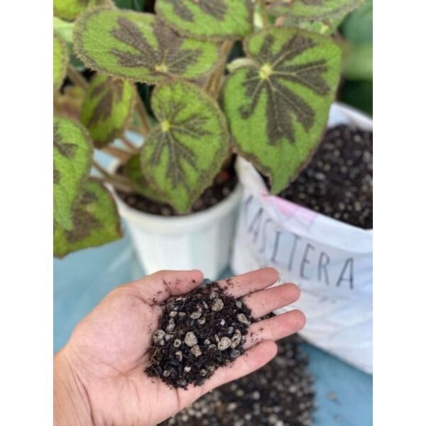 BEGONIA POTTING MIX ( for begonias only). 