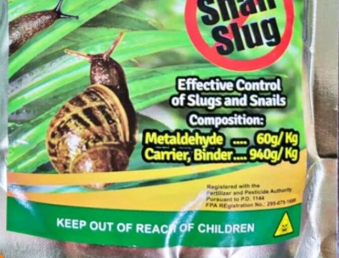 SLUG-OUT SNAIL/SLUG METALDEHYDE INSECTICIDE (100 GRAMS) by RAMGO. 