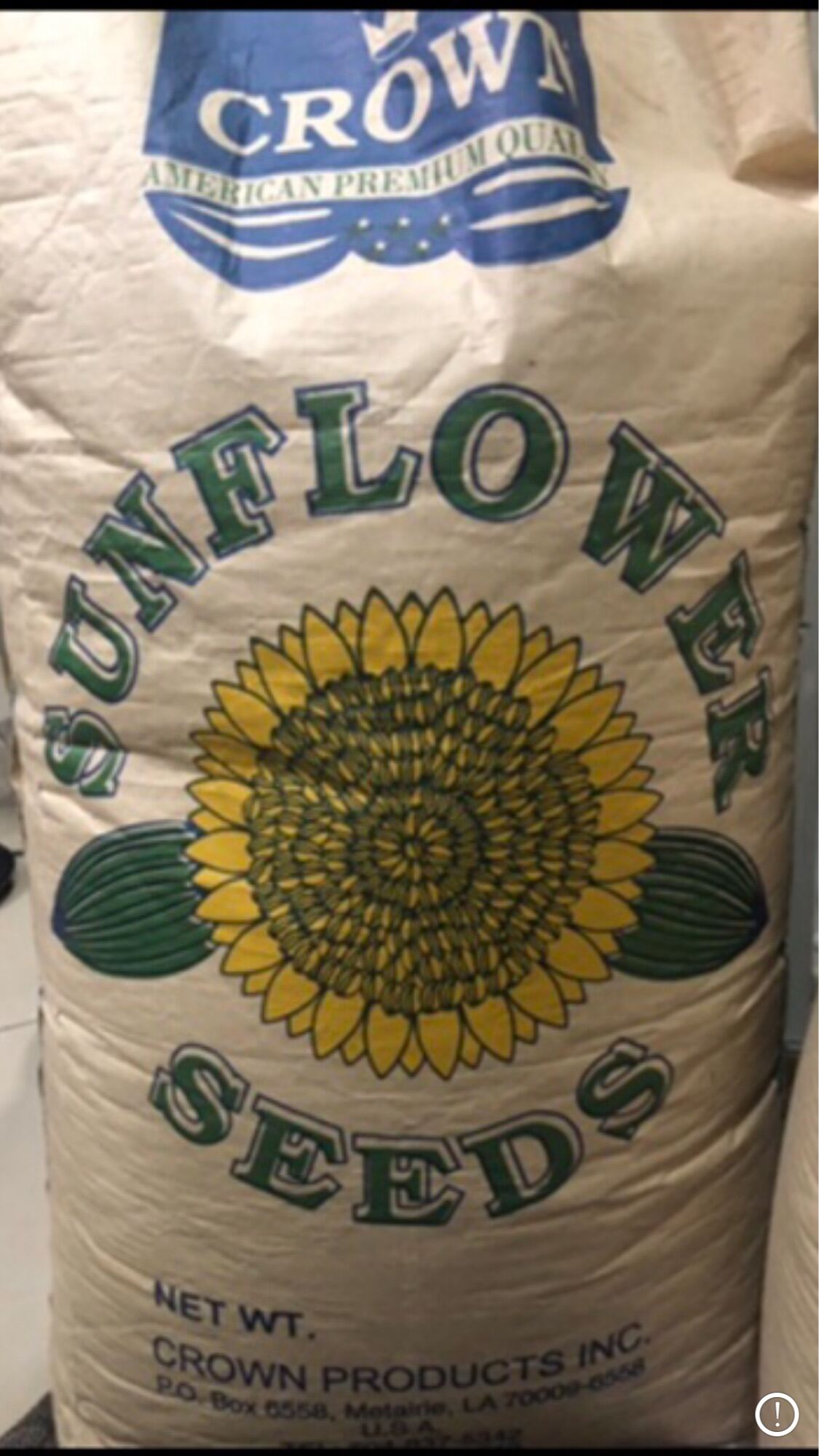 Jumbo Sunflower Seed for Birds & for Human Consumption Lazada PH