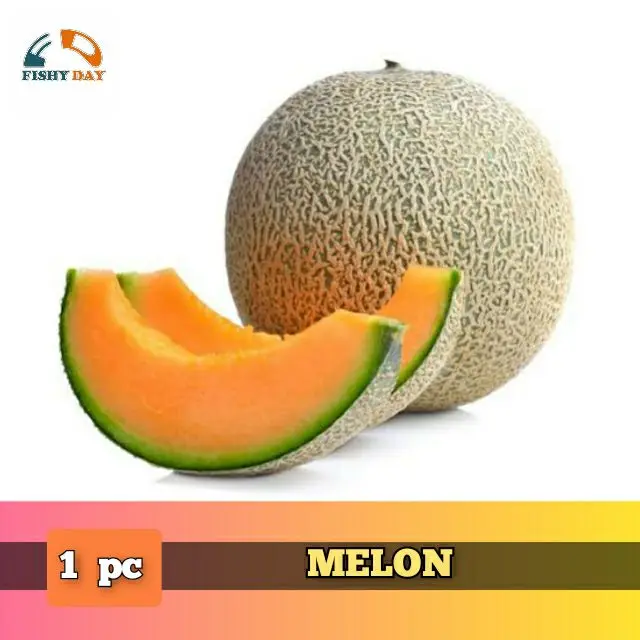 SWEET MELON 1 pc (1.3 - 1.5 KG)