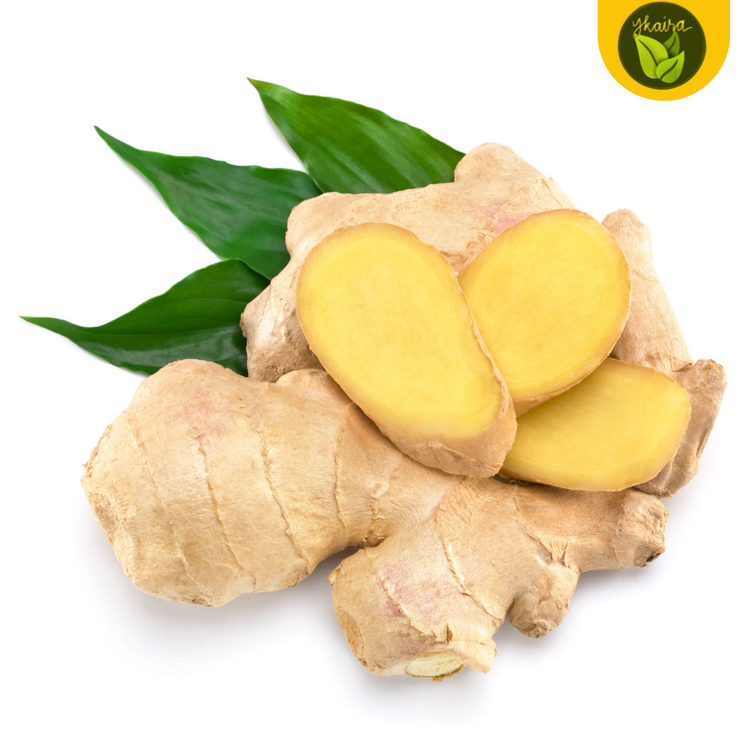 Luya Ginger Bulb Seeds 1 pc. for Planting Herb. 