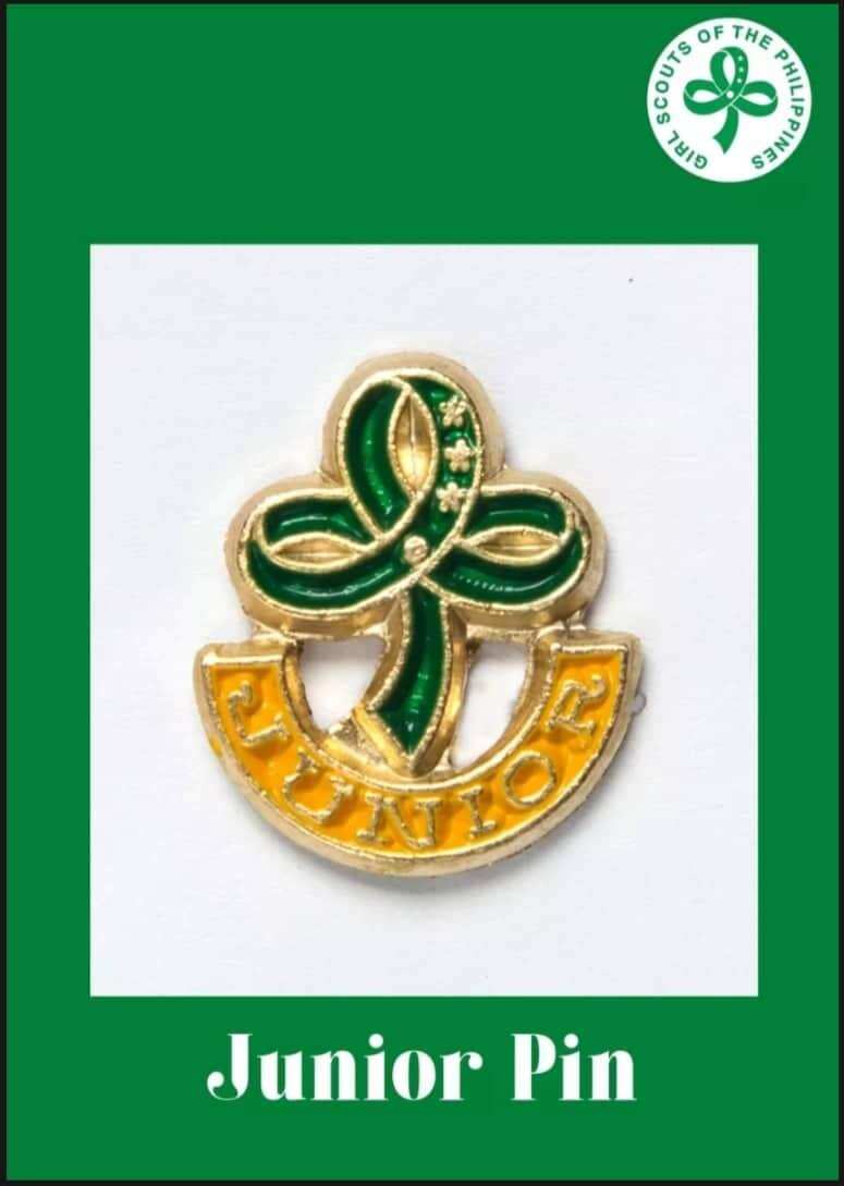 Junior Pin Lazada PH