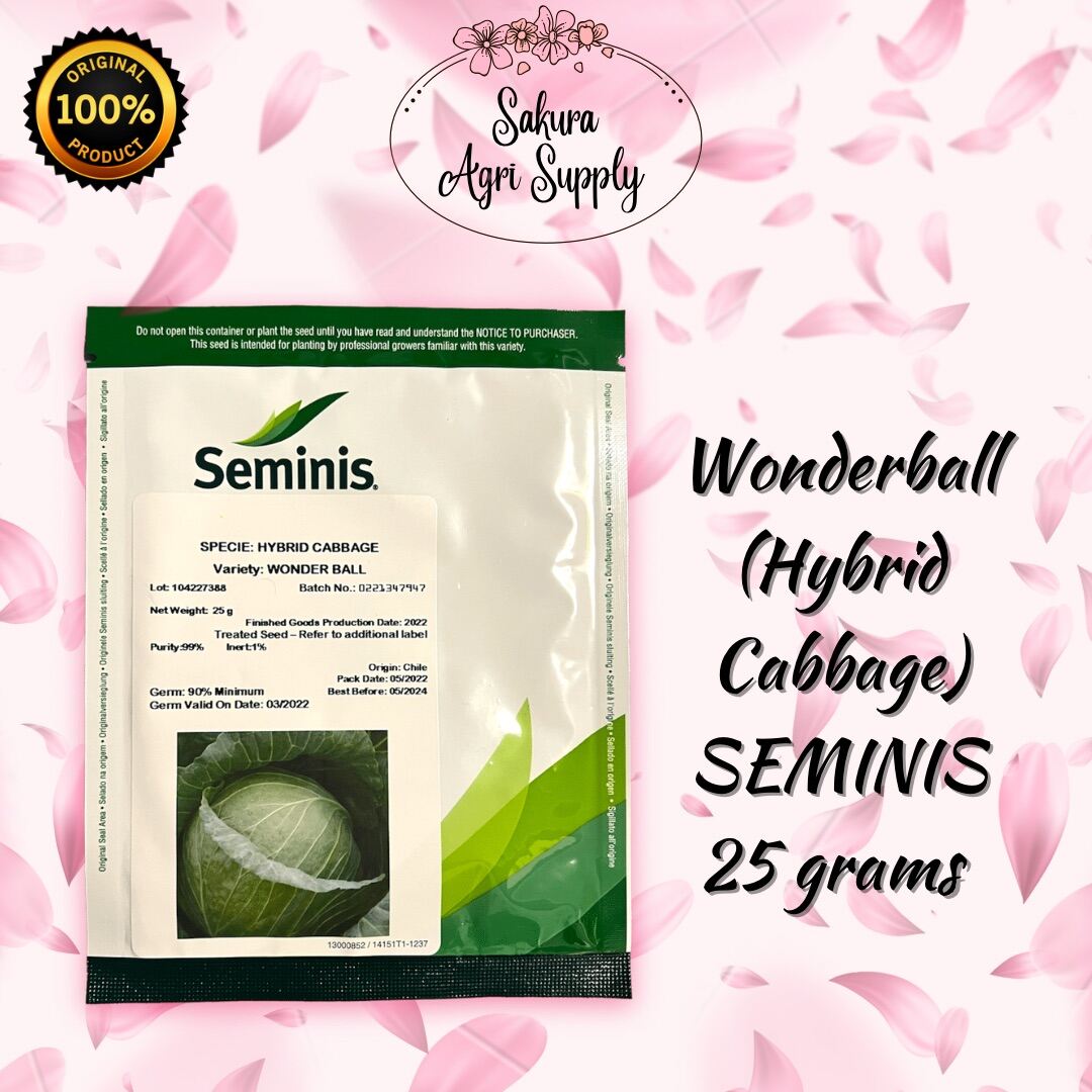 SEMINIS WONDERBALL HYBRID CABBAGE SEEDS 25grams Lazada PH
