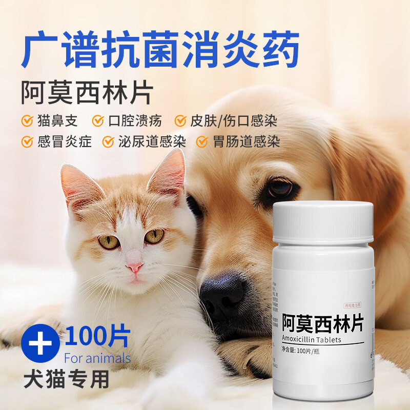 Amoxicillin Cat Cough Medicine Runny Nose Dog Cough Cat Nasal Branch