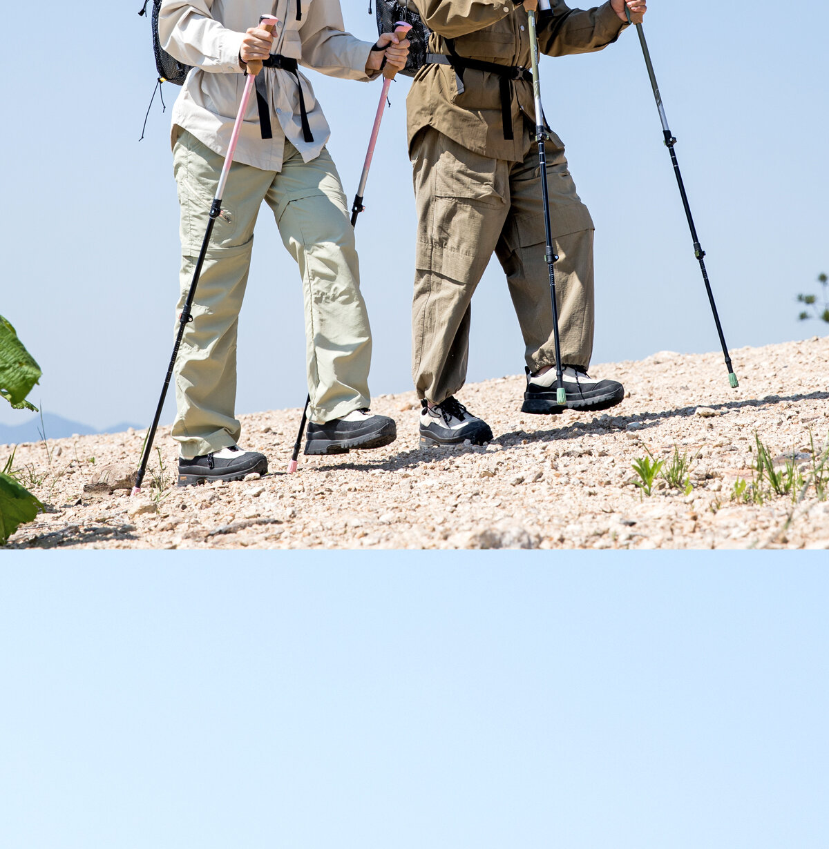 BSWOLF | Lightweight Folding Hiking Pole_voghion.com