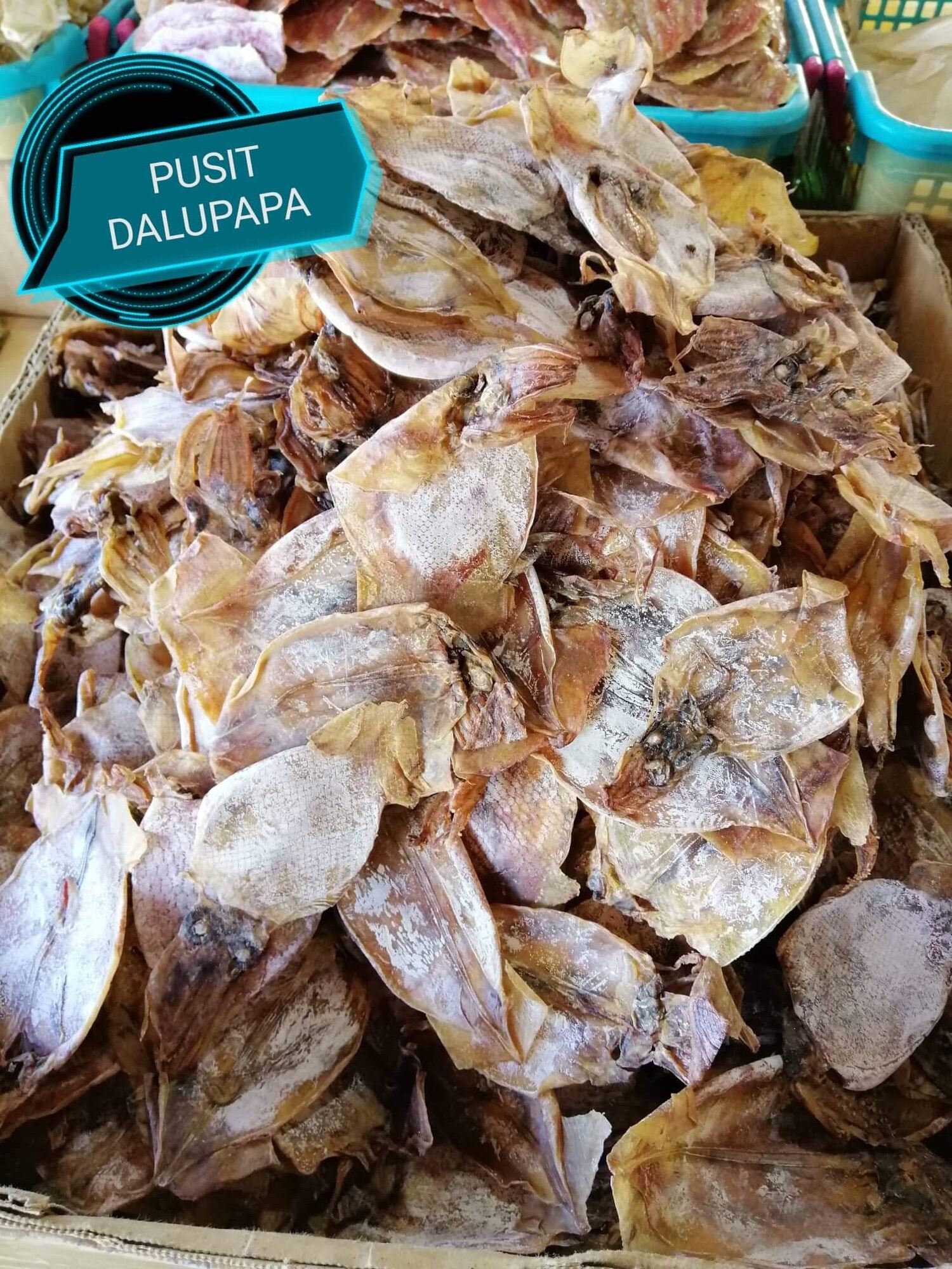 Pusit Dalupapa (small dried squid) 100 grams Lazada PH