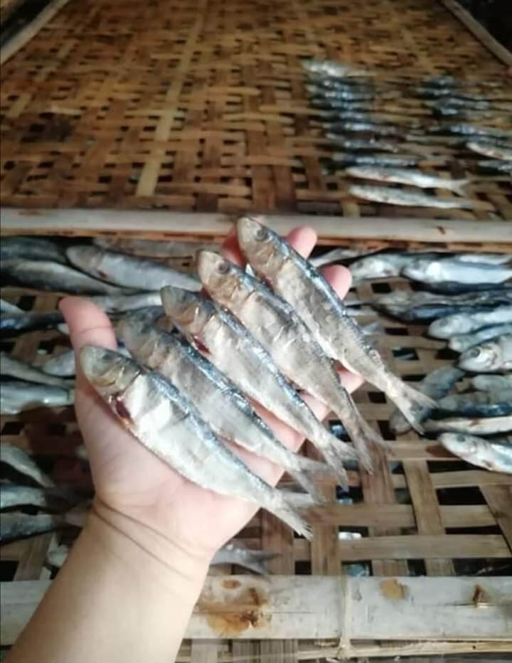 Tamban Tuyo Dried Fish 1/2 Kilo Lazada PH