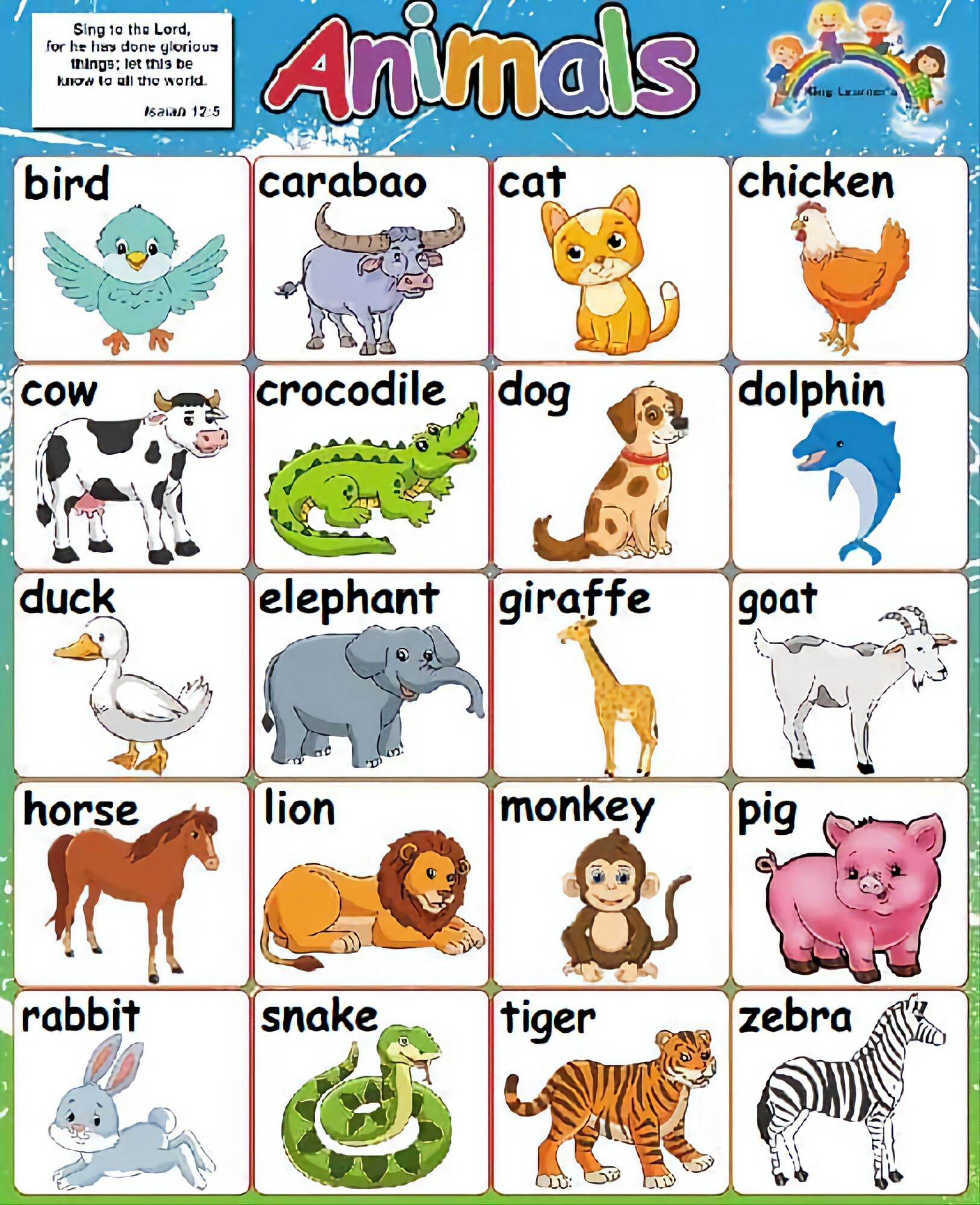 Wall Chart Colors & Animal | Lazada PH