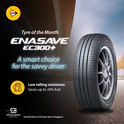 Dunlop 165/65 R14 79S Enasave EC300+ Tire All-Season Automotive