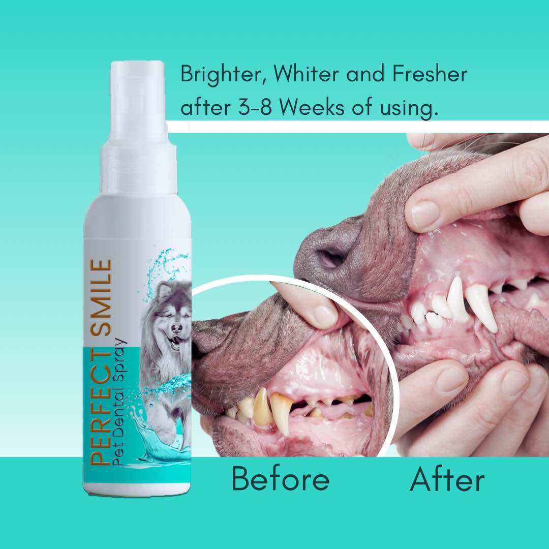 Perfect Smile Pet Dental Spray