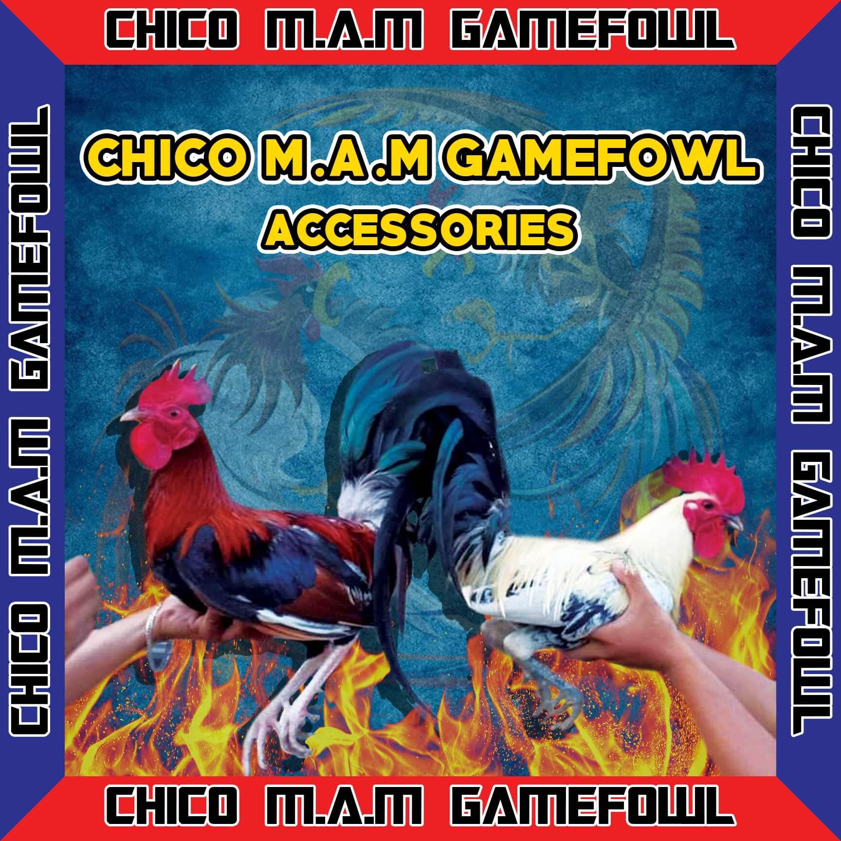 Shop online with Chico M.A.M Game fowl Accessories now! Visit Chico M.A.M Game fowl Accessories