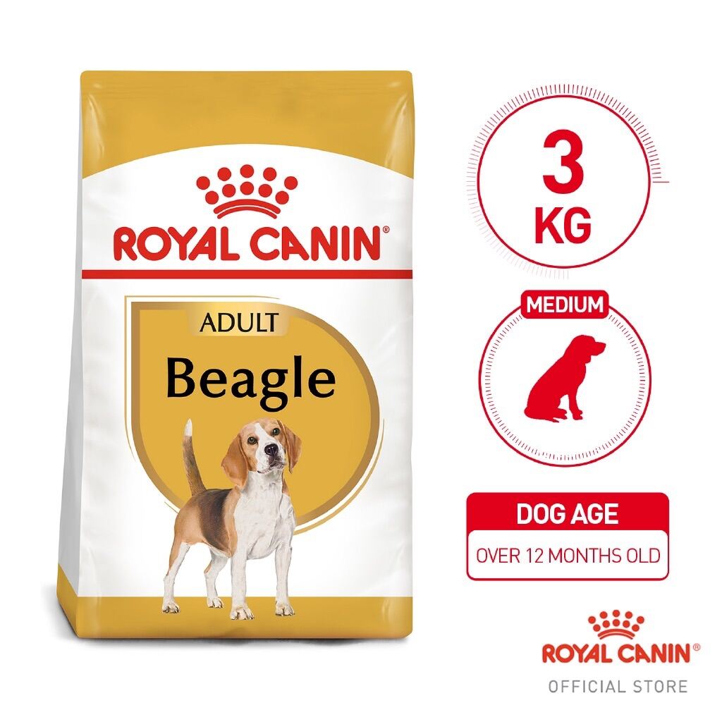 Royal canin store beagle dog food