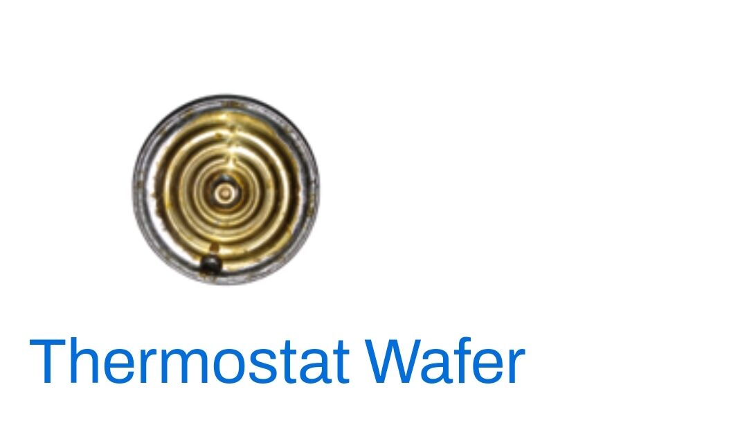 Thermostat Wafer | Lazada PH