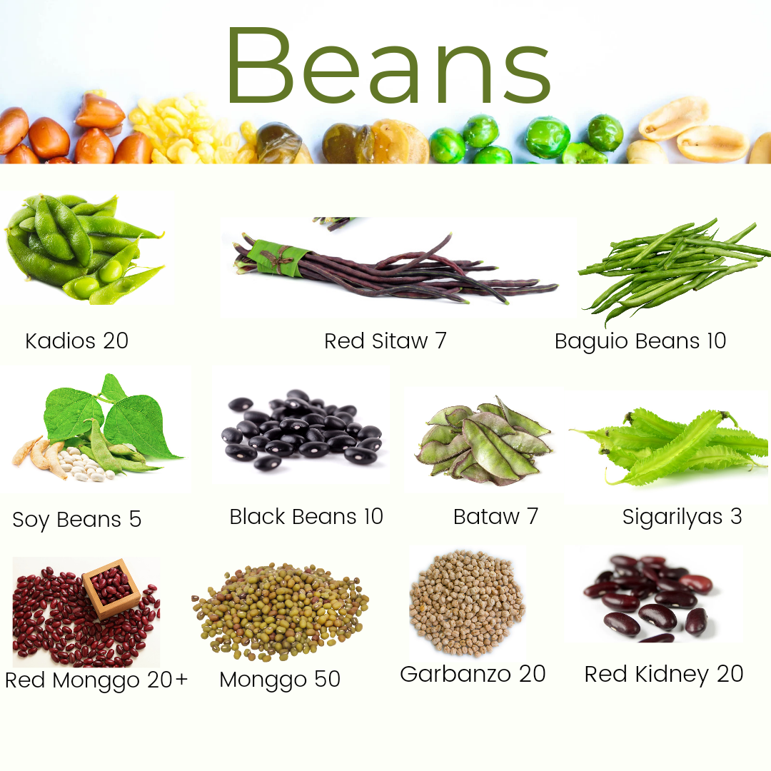 vegetable-beans-variety-gulay-binhi-pananim-lazada-ph