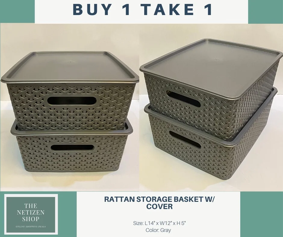 Rattan Style Plastic Storage Basket with Lid - Gray/ Silver - S