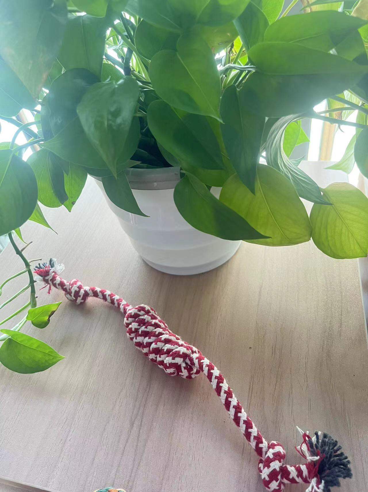 Heavy-duty dog rope for chewers, and a cotton rope dog toy