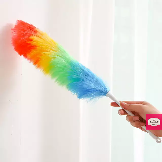 Plastic Feather Duster Lazada PH