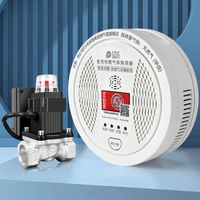 Boleesch | Wireless Gas Leak Detector Kitchen Automatic Shutoff