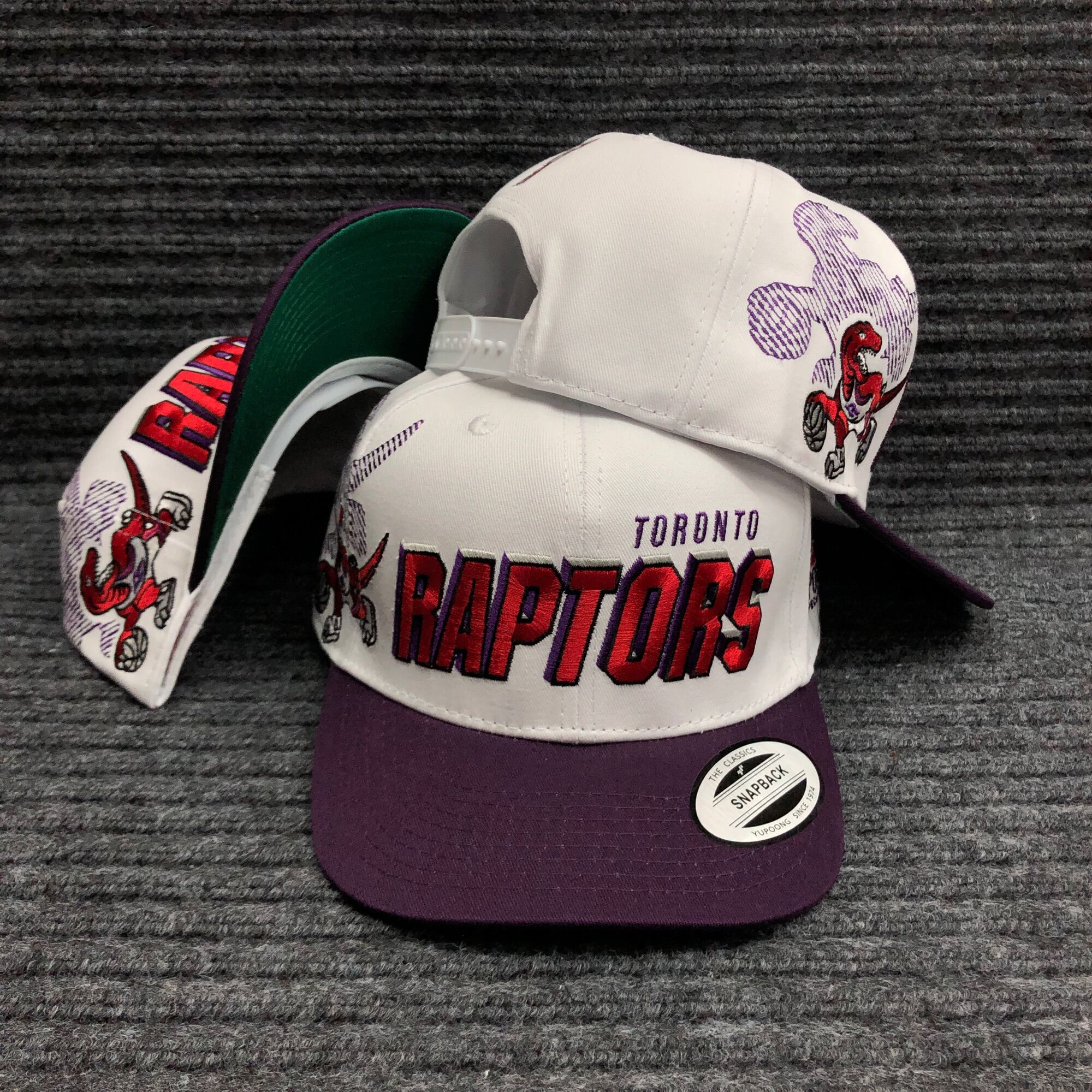 Pro Standard NBA Toronto Raptors Raptor Logo Adjustable Cap gray red