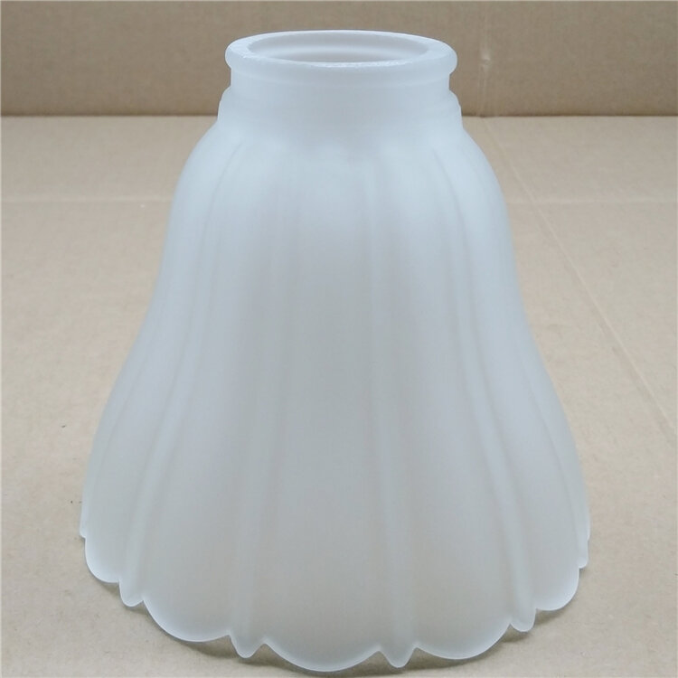 Frosted Glass Light Shade