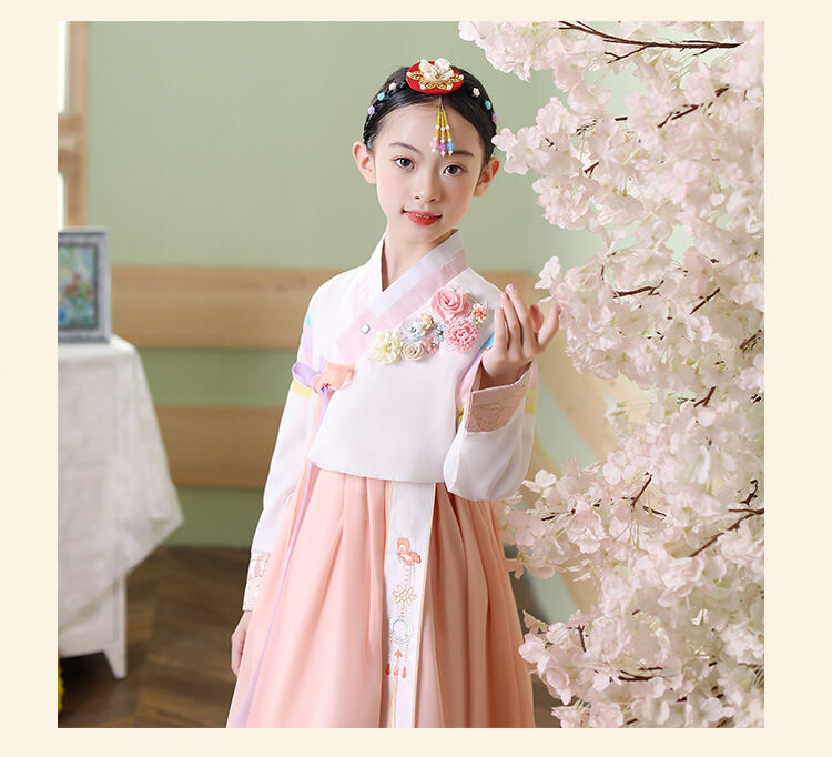 New Girls Hanbok Korean Ancient Costume Minority Folk Costume Korean Clothing Girls Children s Day Performance Dress Princess Dress Lazada PH