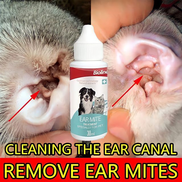 Bioline Ear Mite 30ml Bioline Ear Mite Treatment 30ml Lazada PH