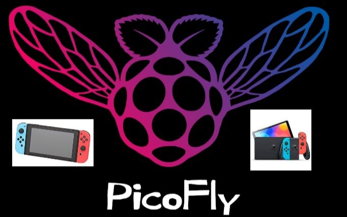 Picofly DIY KIT V1, V2, Lite, Oled RP2040 ZERO KIT | Lazada PH