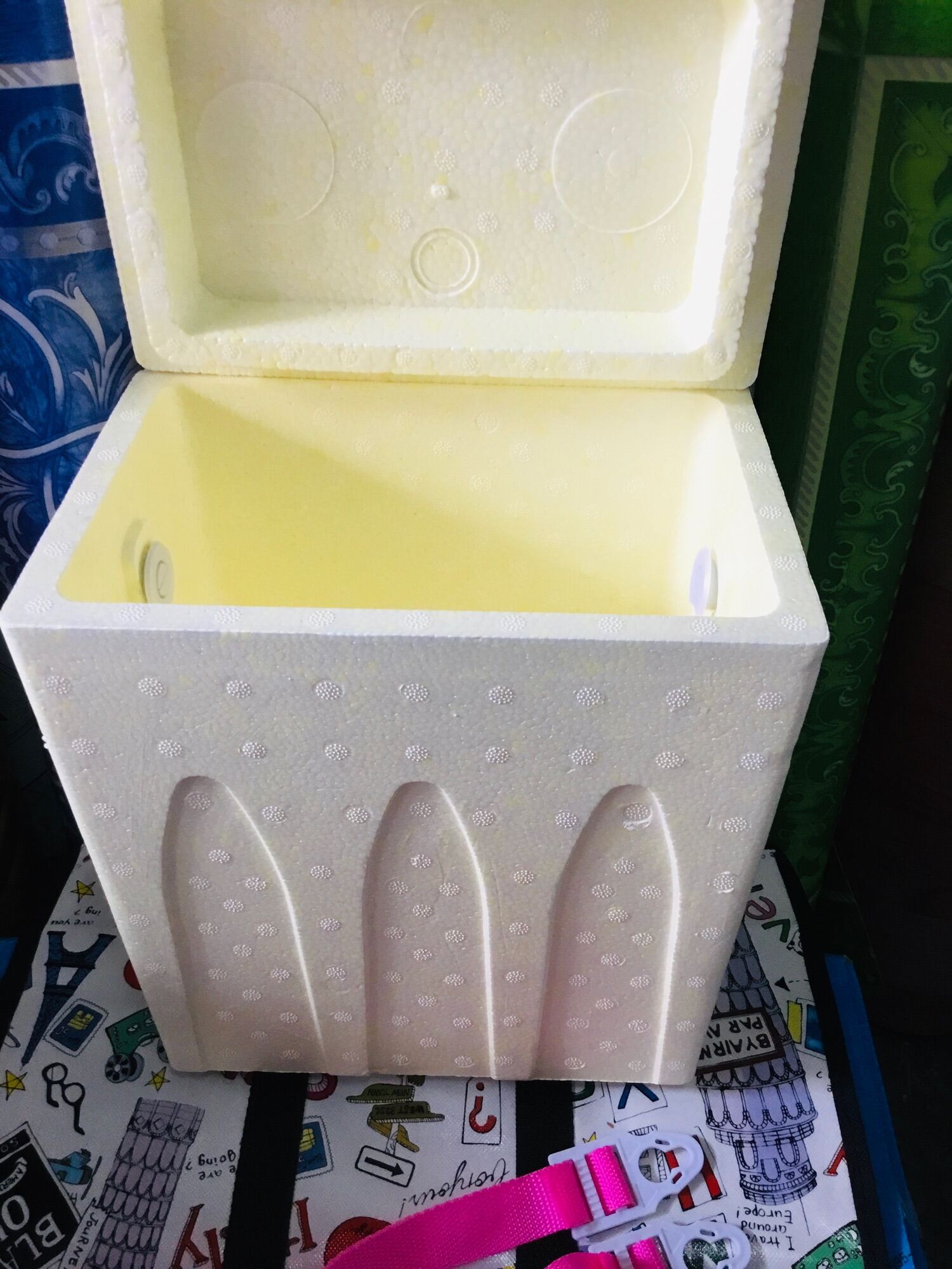 STYRO BOX COOLER POLAR BOX Lazada PH