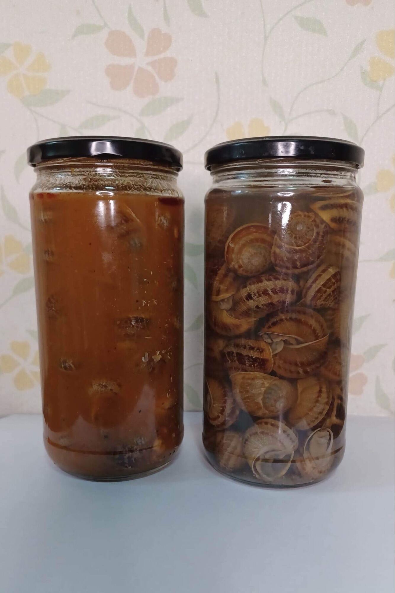 Bottled snails (escargot) in Brine and Red Sauce Lazada PH