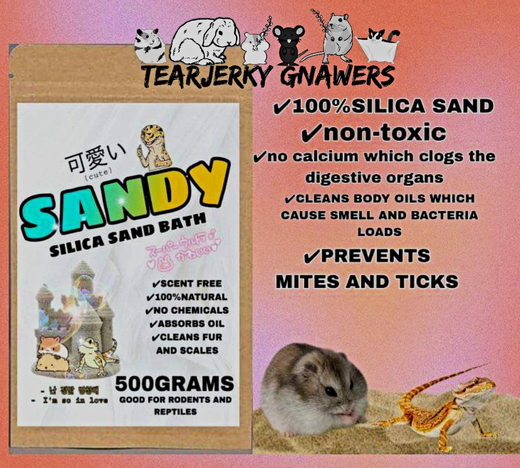 SANDY Hamster & Reptile Silica Sand Bath PARAÑAQUE Lazada PH