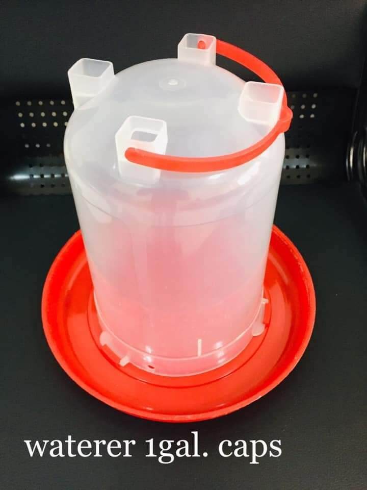 Chicken Waterer Chicken Waterer Lazada PH