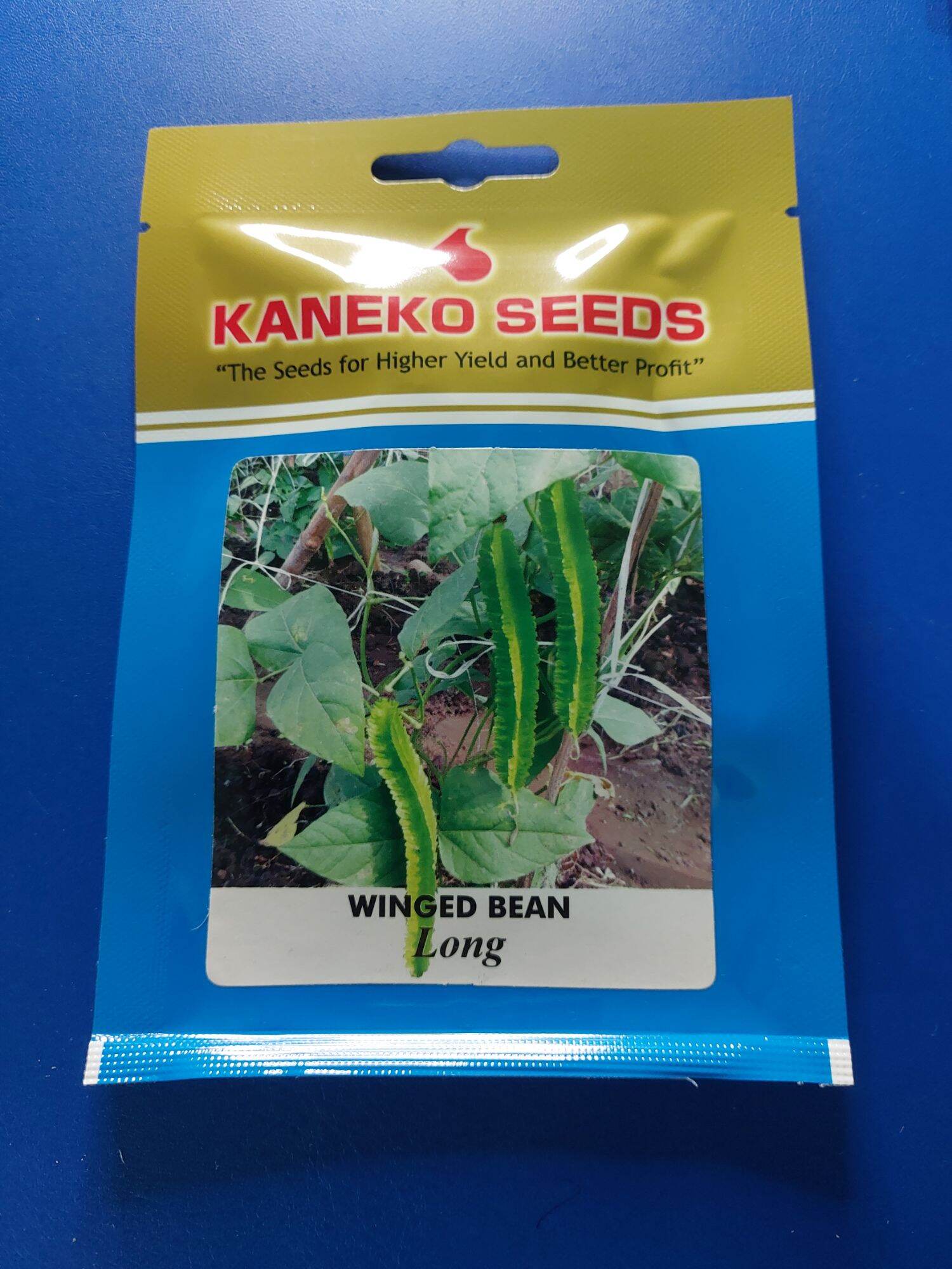 Long (10 grams) Winged Bean / Sigarilyas by Kaneko Lazada PH