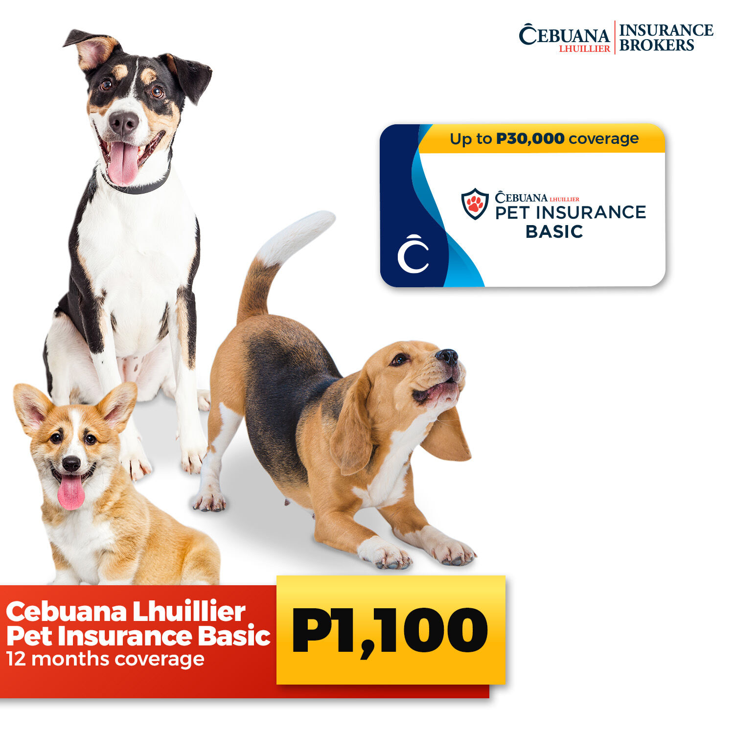 Akc Pet Insurance Login - 3vgxyia