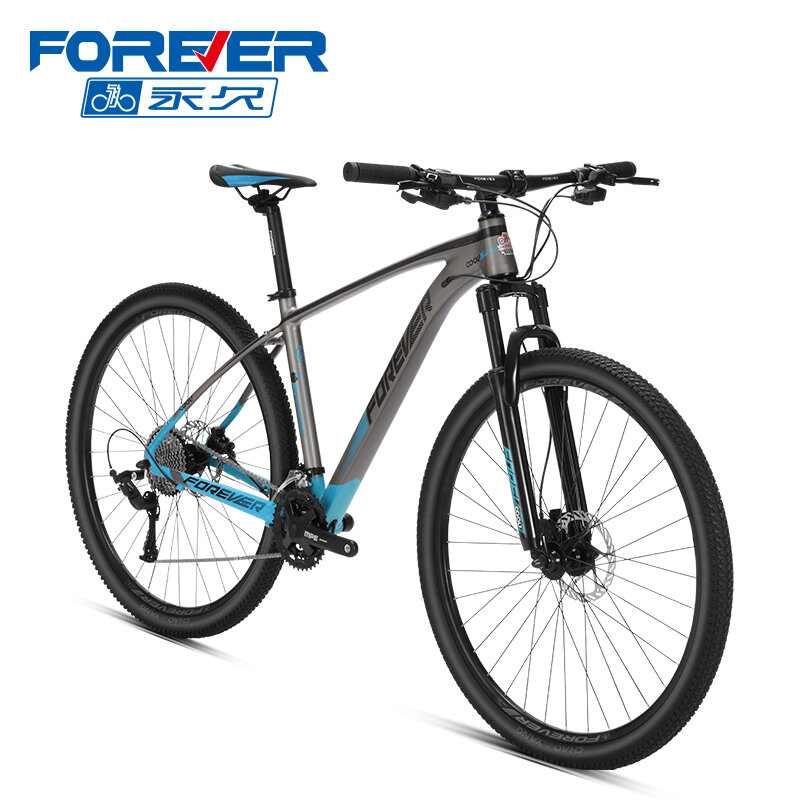 Forever Bicycle 28'Steel Frame Bike Traditional Bicycle Bike