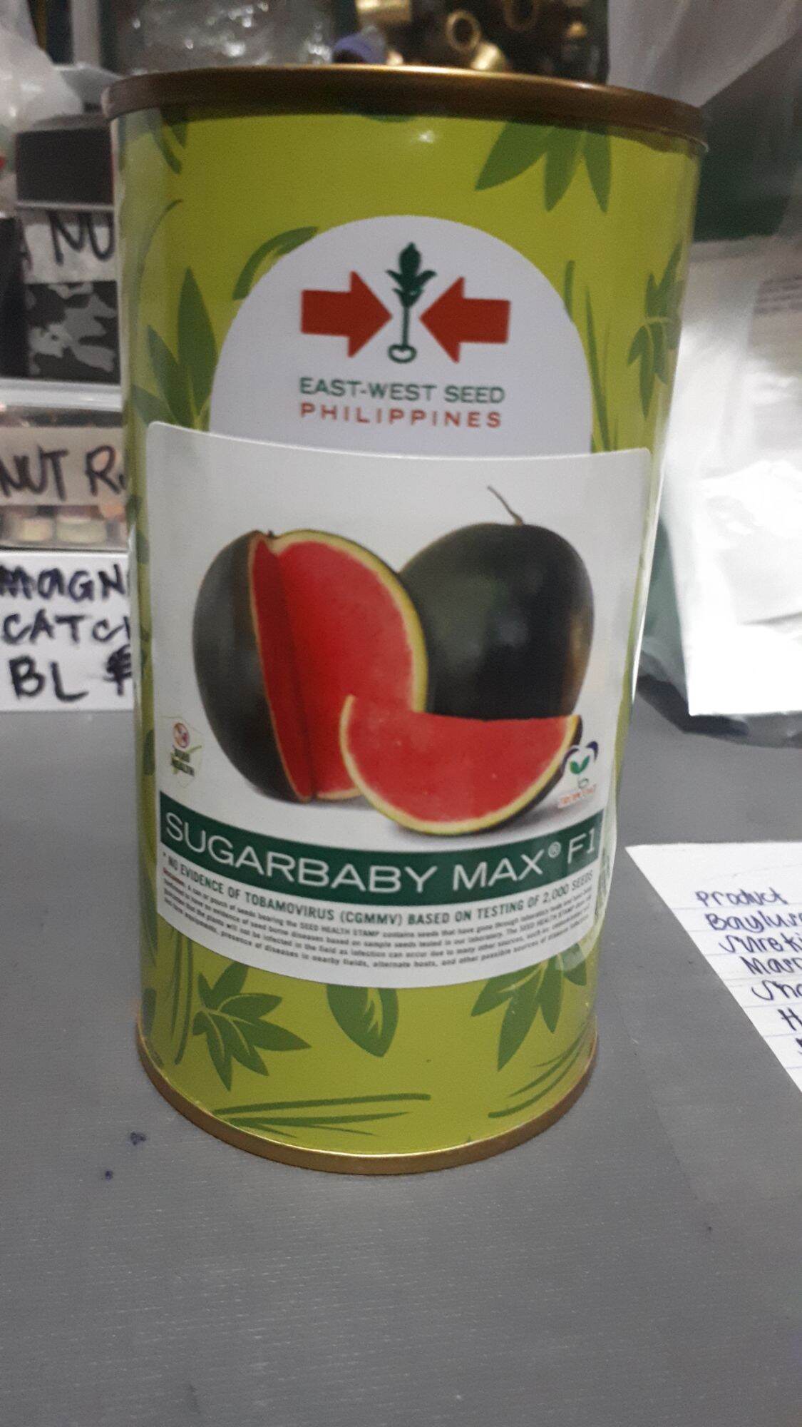 Sugarbaby Max F1 Watermelon seeds 100 grams in 1 can Lazada PH