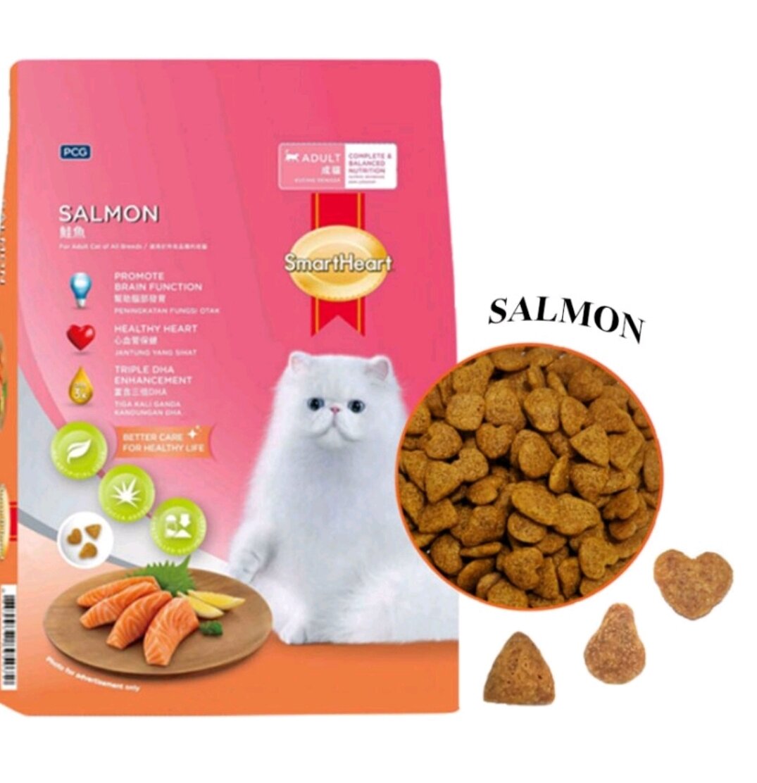 Heart healthy 2024 cat food