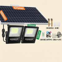 intelamp | Solar Induction Outdoor Light