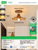 DGY | French Retro Luxe Glass Corridor Light