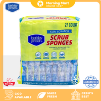 Berkley Jensen Non-Scratch Scrub Sponge 27s