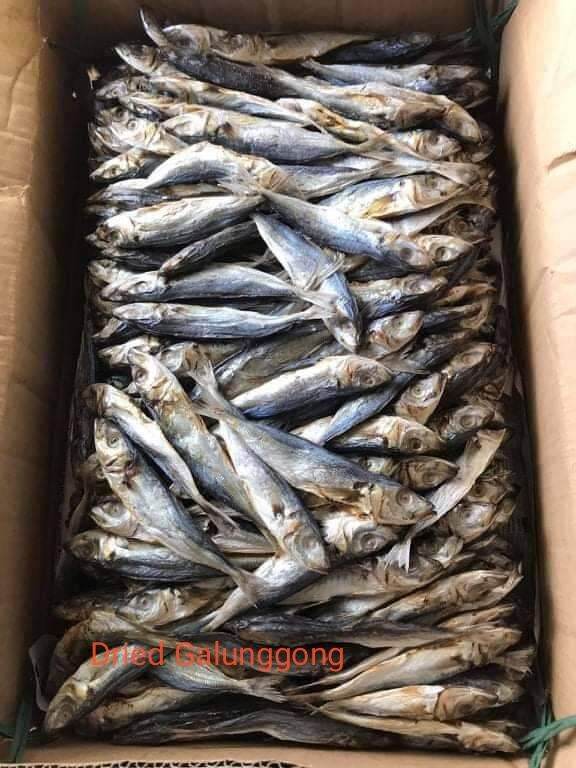 Galunggong TUYO /DRIED FISH GALUNGGONG 1/2 KILO | Lazada PH