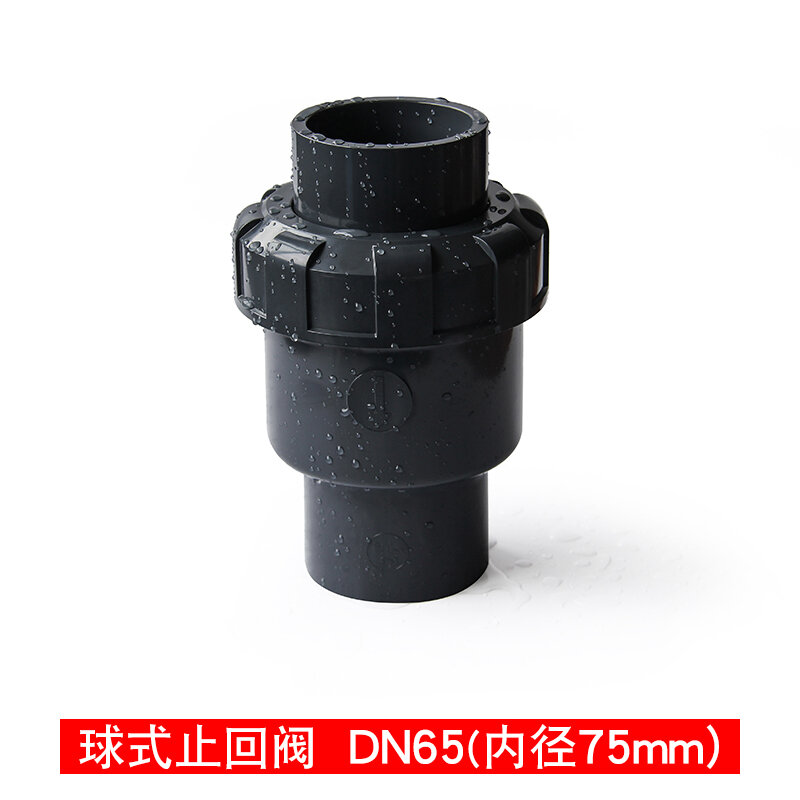 PVC Check Valve Chemical Pipe Check Valve Water Supply Pipe Check Valve
