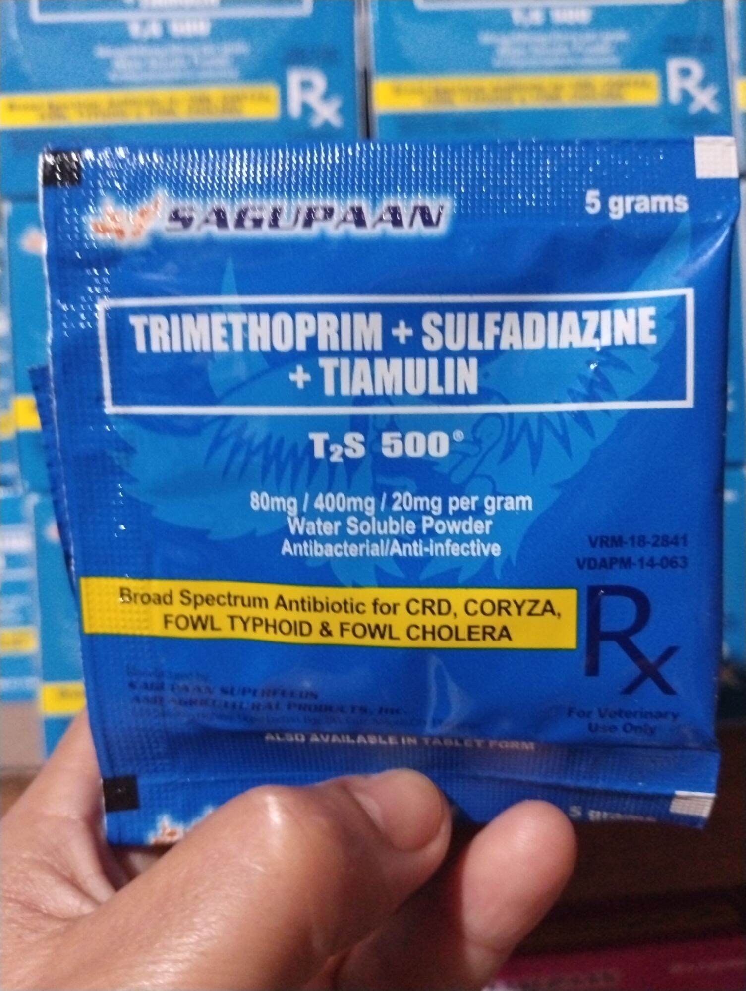 SAGUPAAN T2S 500 Powder Sold Per 1sachet | Lazada PH