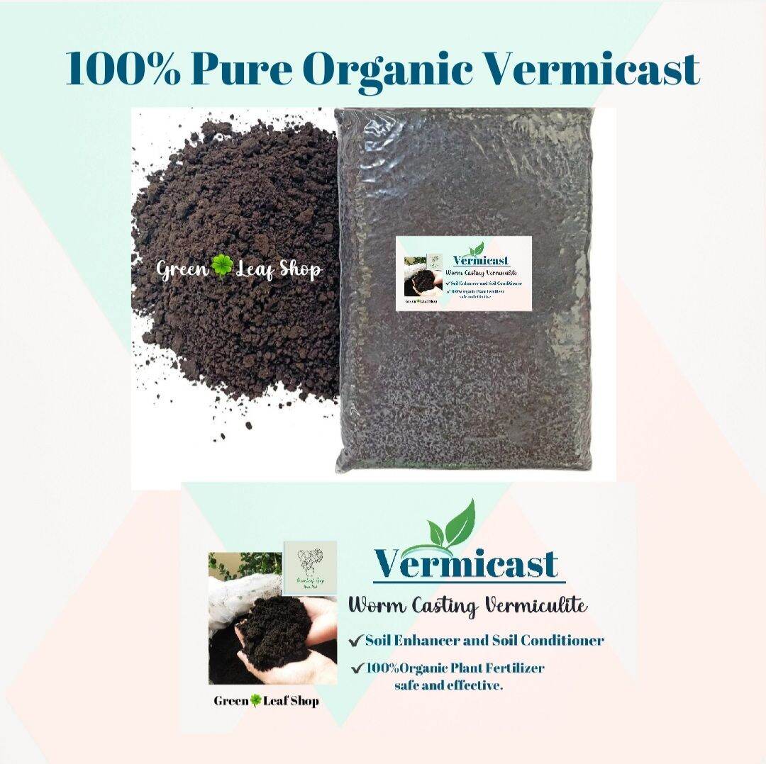 Vermicast Soil Wormcasting 100 Pure Organic Safe and Effective Lazada PH