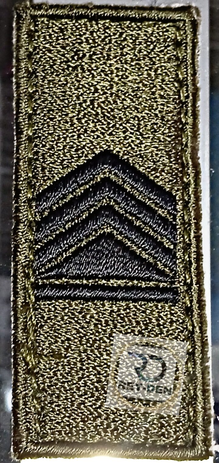 Fsu fixilized rank insignia patches. 