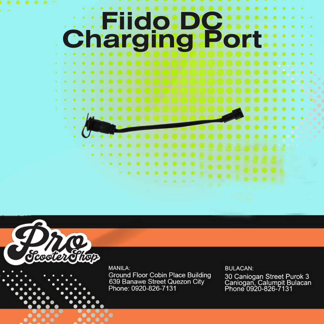 Fiido charger online