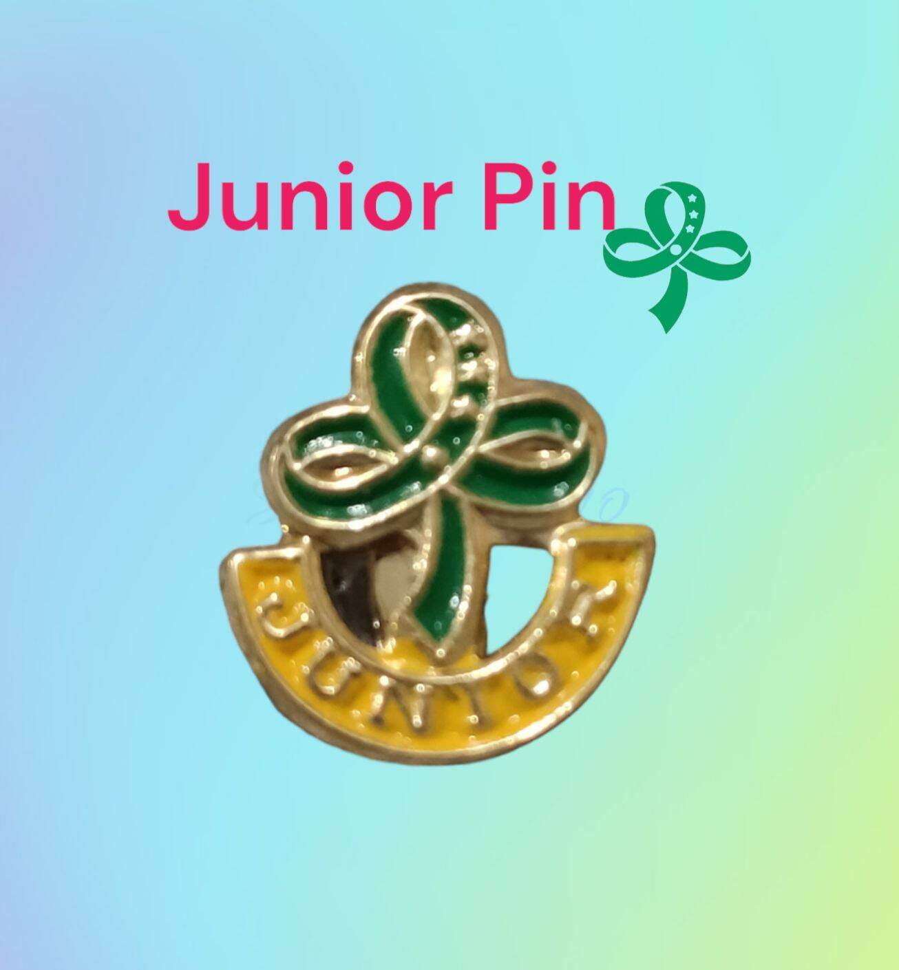 Gsp/BSP Pin,Sash and pin Holder per piece Lazada PH